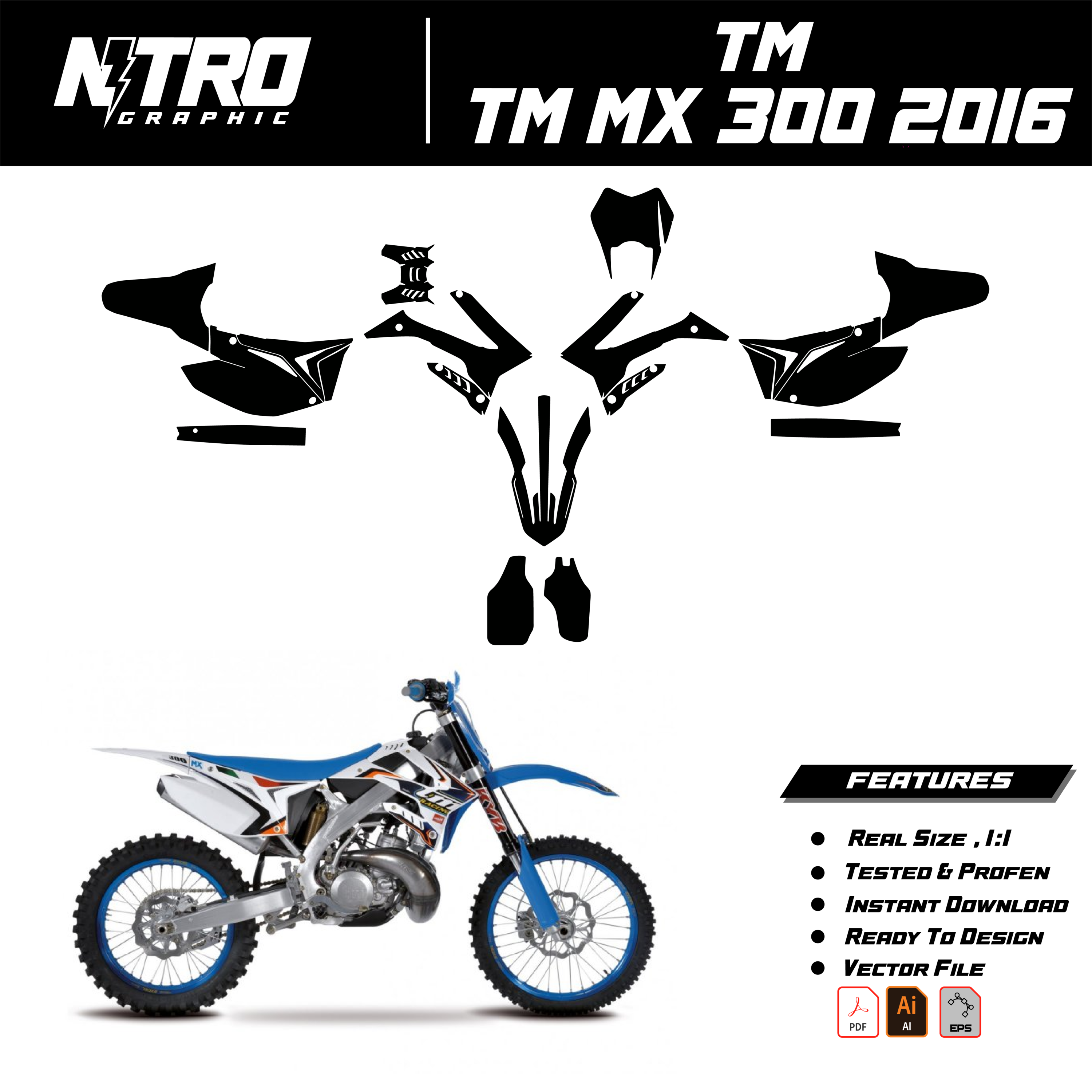 TM MX 300 2016